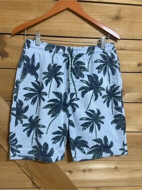 Public Record Palm Tree Print Shorts